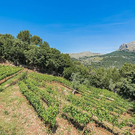Villa Mountain With Large Pool